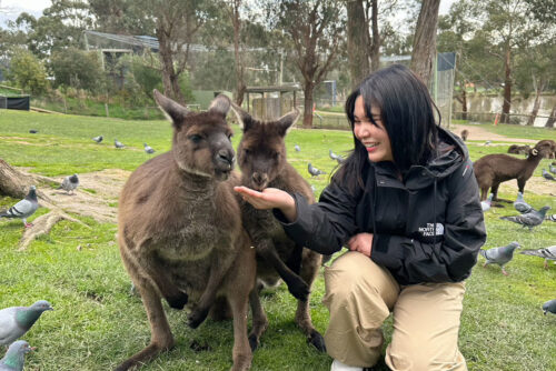 LINE_ALBUM_3102023_231009_6_0_0 LINE_ALBUM_3102023_231009_6_0_0