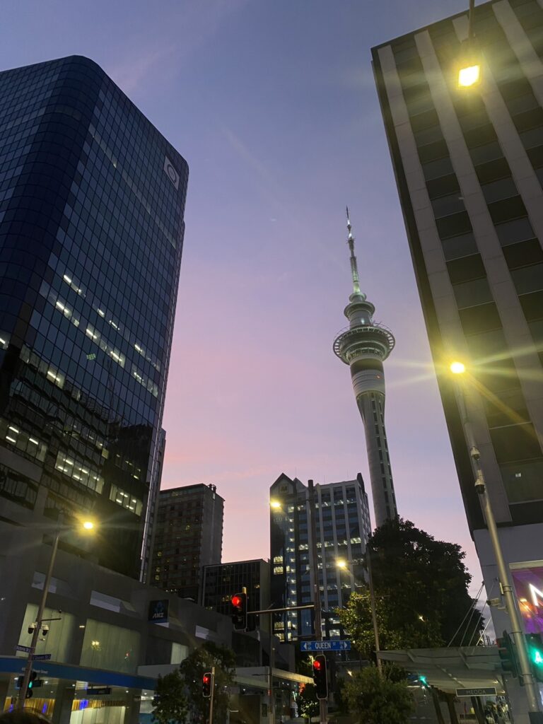 4Thanyaphat Chitbowonchaiwong (Fong น้องฟ้อง) Auckland English Academy (NZ)